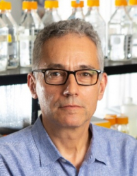 Stefan Ruhl's picture