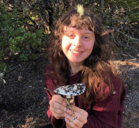 Sierra Wilson's picture